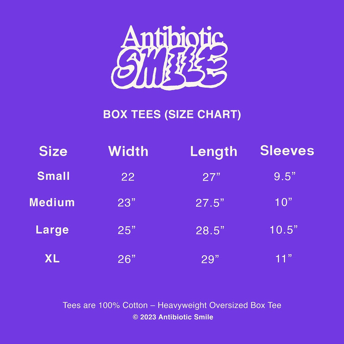 Flag Puff Graphic Box Tee (Taupe) image 2