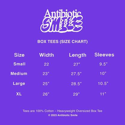 Flag Puff Graphic Box Tee (Taupe) image 2