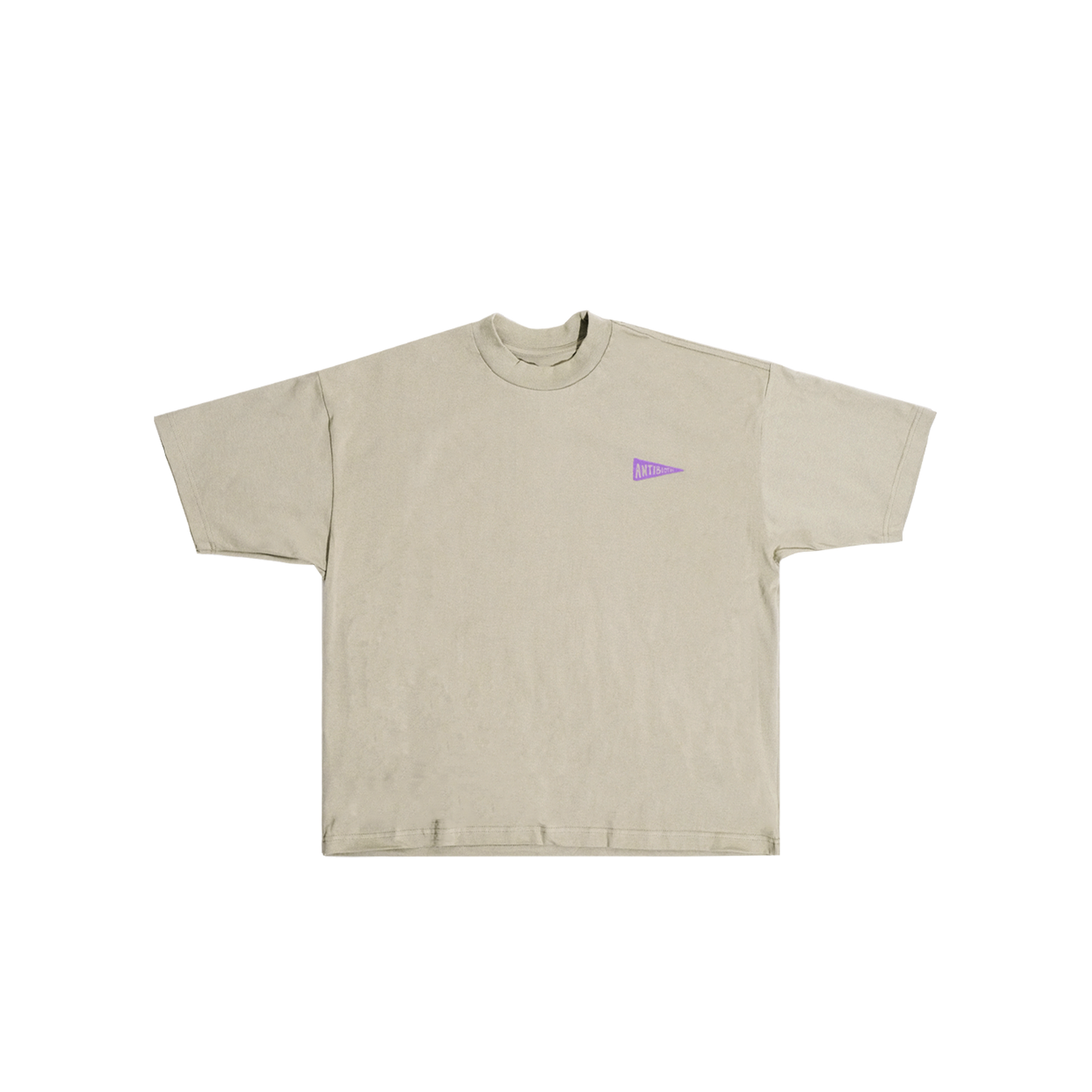 Flag Puff Graphic Box Tee (Taupe) image 0