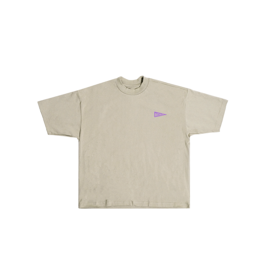 Flag Puff Graphic Box Tee (Taupe) image 0